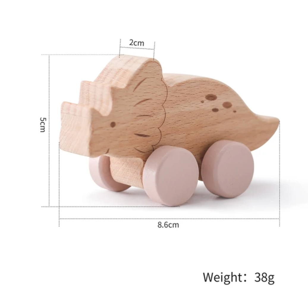Wooden Dinosaur Toys