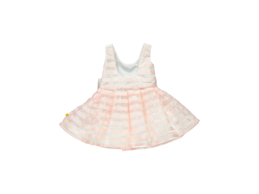 Pink Princess Dress