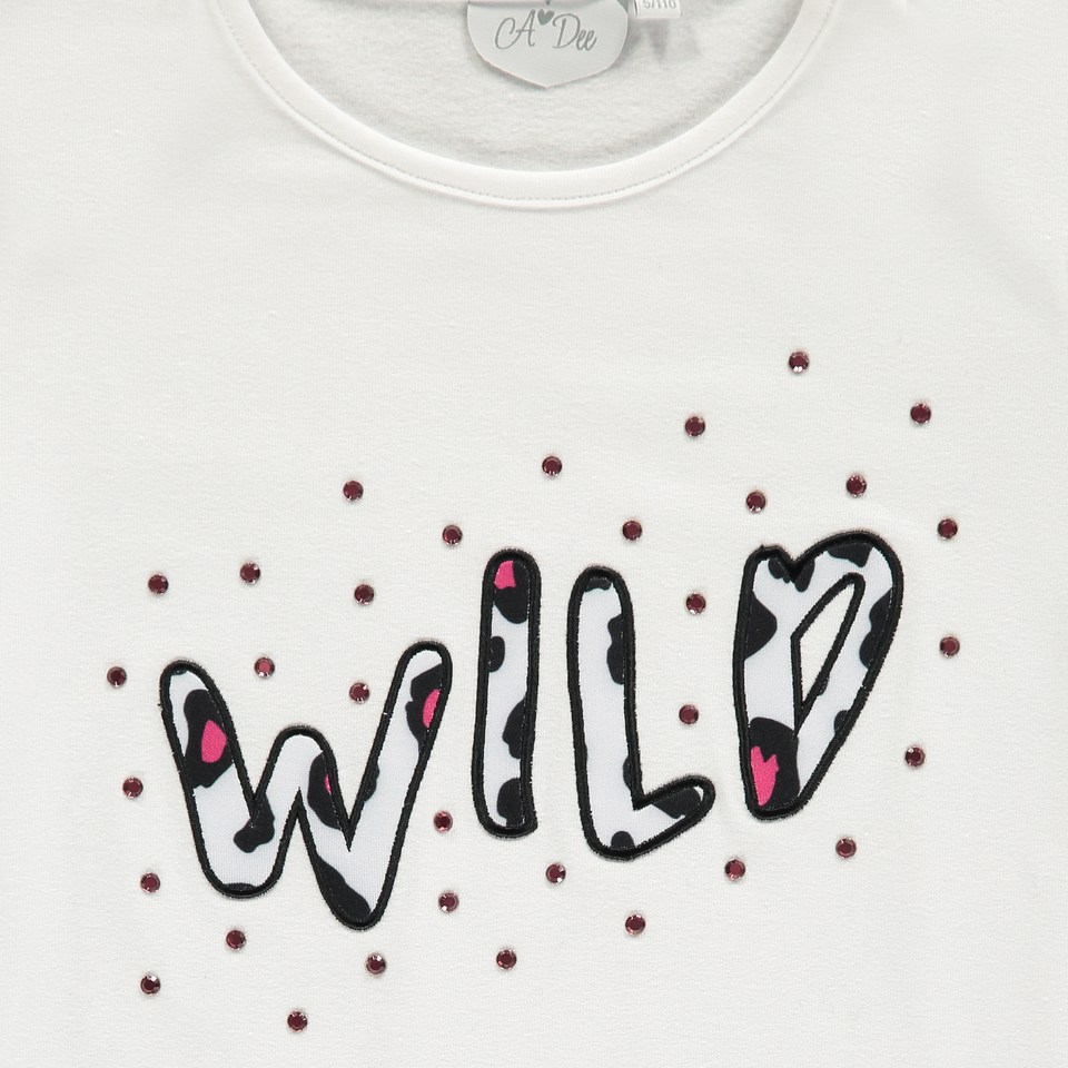 Tracie Wild Long Sleeved Top